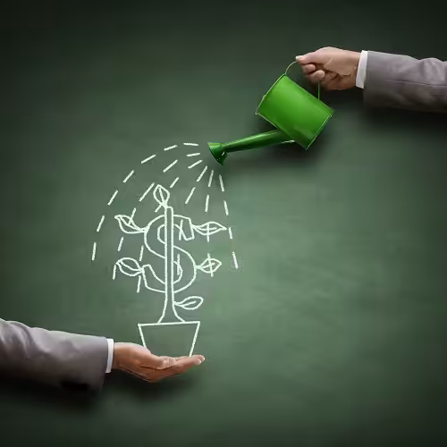 Investing In Current Financial Year